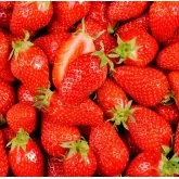 Photo illustration catégorie Fruits