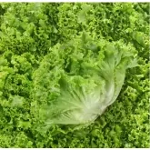 Photo illustration catégorie Légumes
