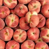 Photo illustration catégorie Fruits