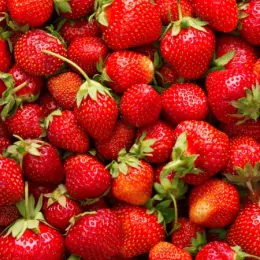 image illustration - Les fraises
