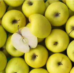 image illustration - Les pommes