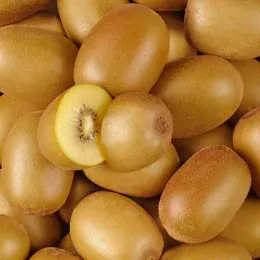 image illustration - Les kiwis