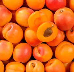 image illustration - les abricots