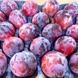 image illustration - LES PRUNES