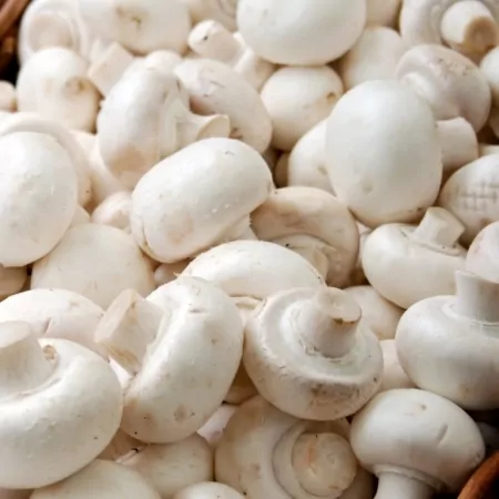Champignon blanc de Paris 250g-
