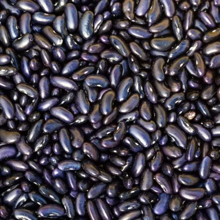 Haricots noirs 500g-