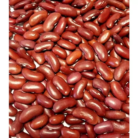 Haricots rouges 500g-