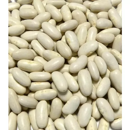 Haricots blancs 500g-