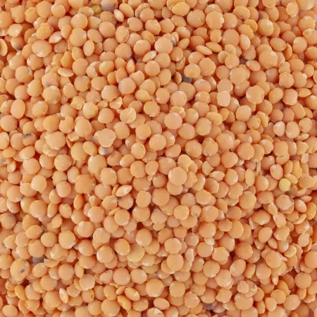 Lentilles corail 500g-