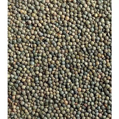 Lentilles vertes 500g-