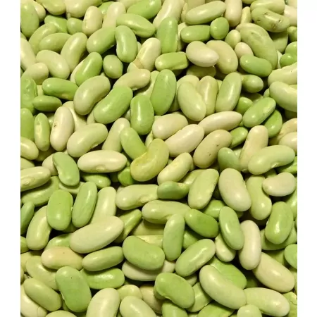 Flageolets 500g-