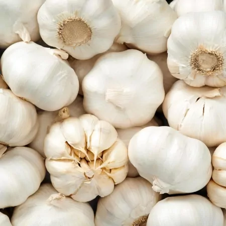 Ail blanc-