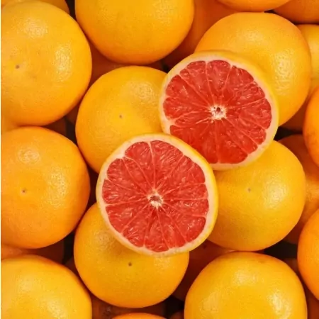 Pamplemousse Corse-