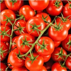 Tomate grappe
