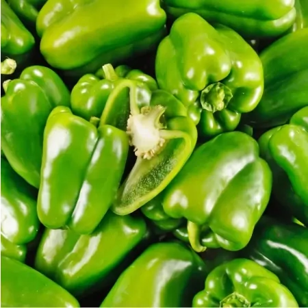 Poivron vert-