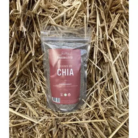 Graines de chia BIO 200g-