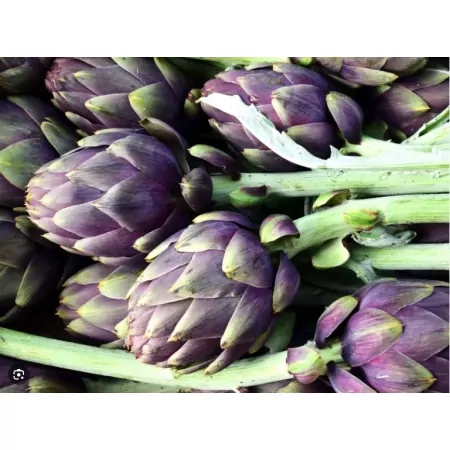 Artichaut violet bouquet-