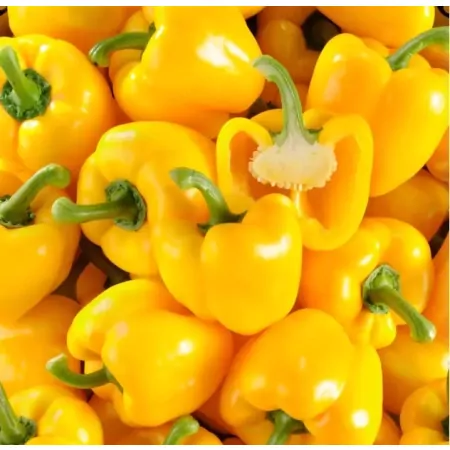 Poivron jaune-