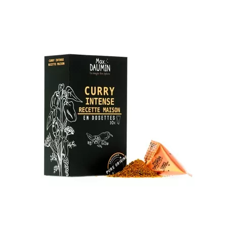 Curry Intense Recette Maison x10-