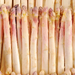 Asperge blanche 16/22 cat.1 1kg