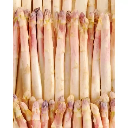 Asperge blanche 12/16 cat.1 1kg-