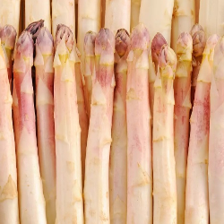 Asperge blanche 22+ cat.1 1kg
