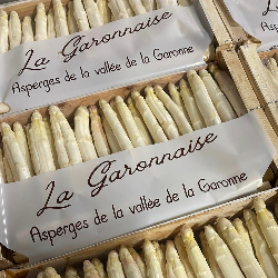 Asperges blanches CONSERVE 5KG