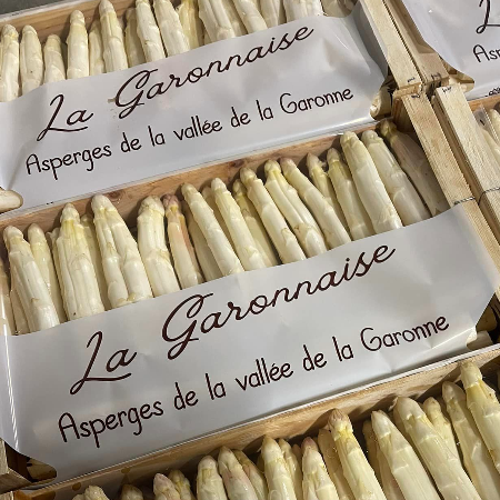 Asperges blanches CONSERVE 5KG-