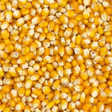 Maïs pop corn 500g-