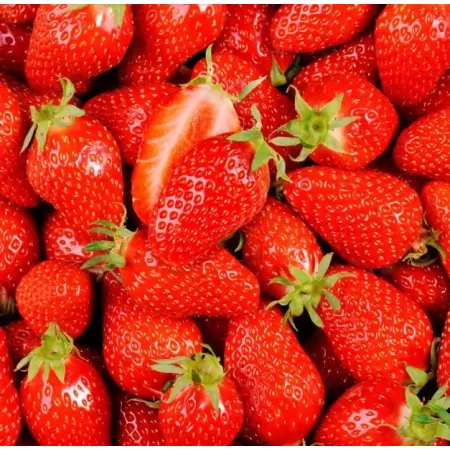 Fraise Gariguette 250g cat.1-