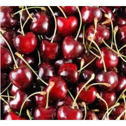 Cerises 500g