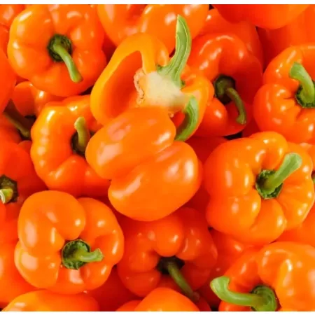 Poivron orange-