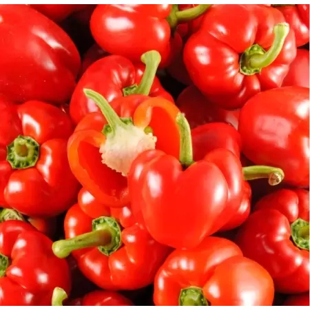 Poivron rouge-