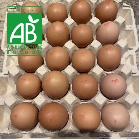 Oeufs BIO x20 XL-