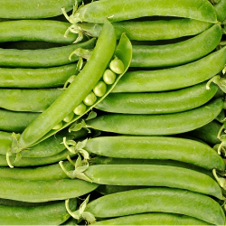 Petit pois