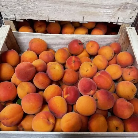 Abricots cat.2 - 5kg-