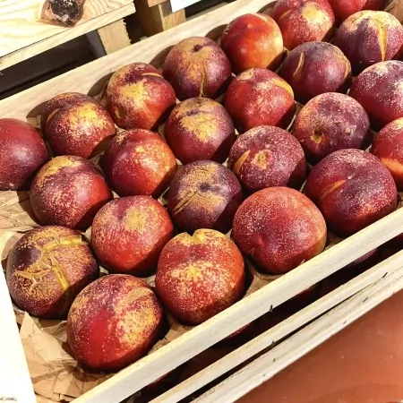 Nectarines jaunes cat.2-