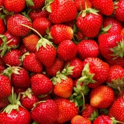 Fraise Charlotte 250g
