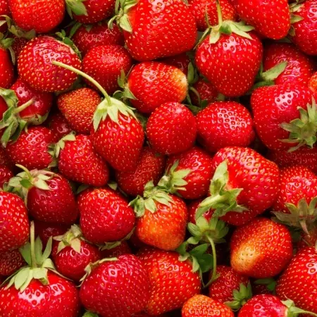 Fraise Charlotte 250g-