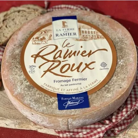 Ramier roux-