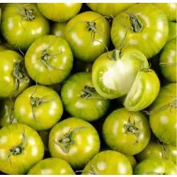 Tomate green zebra