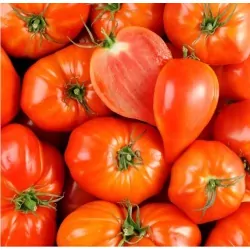 Tomate cœur de bœuf rouge