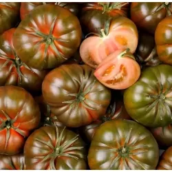 Tomate noire de crimée