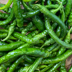 Piments doux 125g