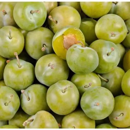 Prune Reine-Claude-