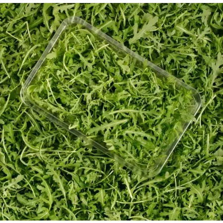Roquette 125g-