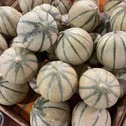 Melon  11L