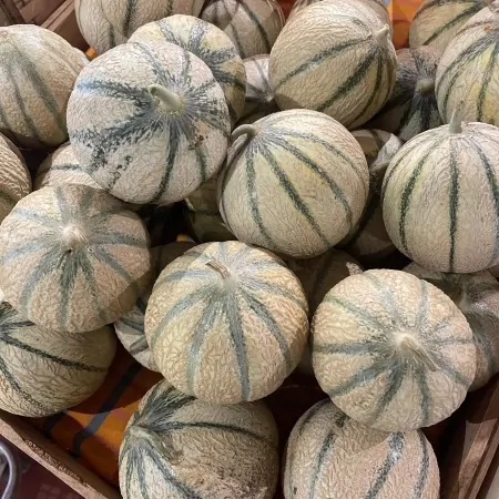 Melon  11L-