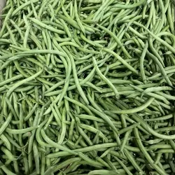 Haricot vert