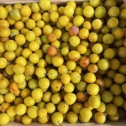 Prune Mirabelle 500g